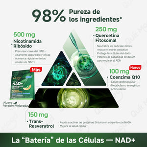 NR Supplement for Skin Aging Support, Energy and Focus
