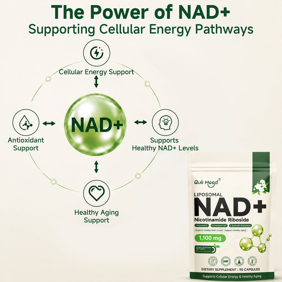 Liposomal NAD+ 1100 mg | 90 Capsules
