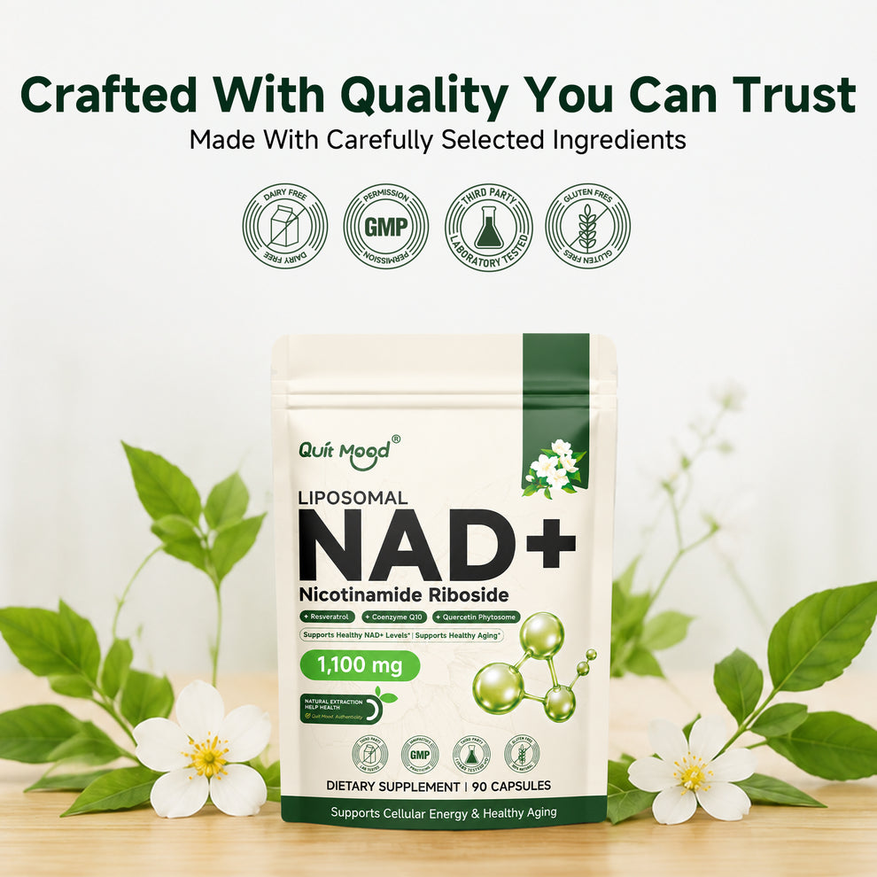 Liposomal NAD+ 1100 mg | 90 Capsules