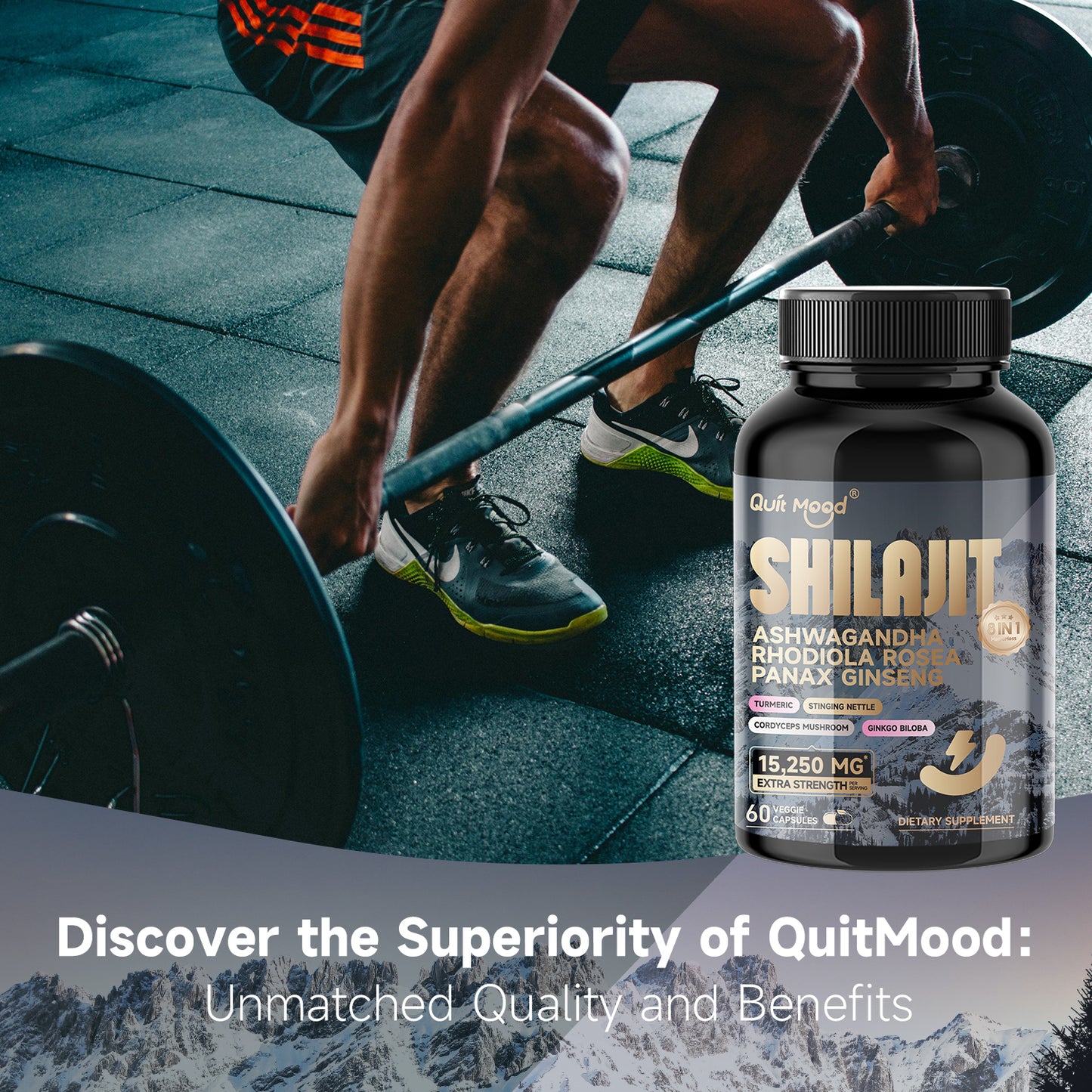 Shilajit Ashwagandha Rhodiola Rosea panax ginseng
